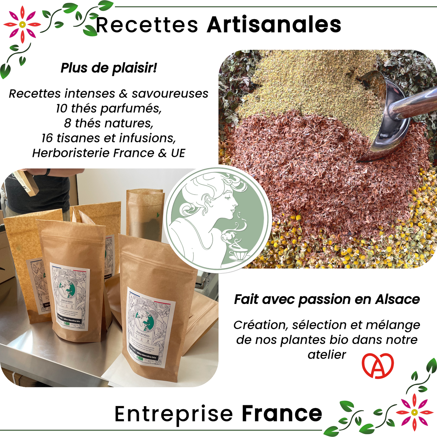Herbo. ✿ Achillée Millefeuille BIO