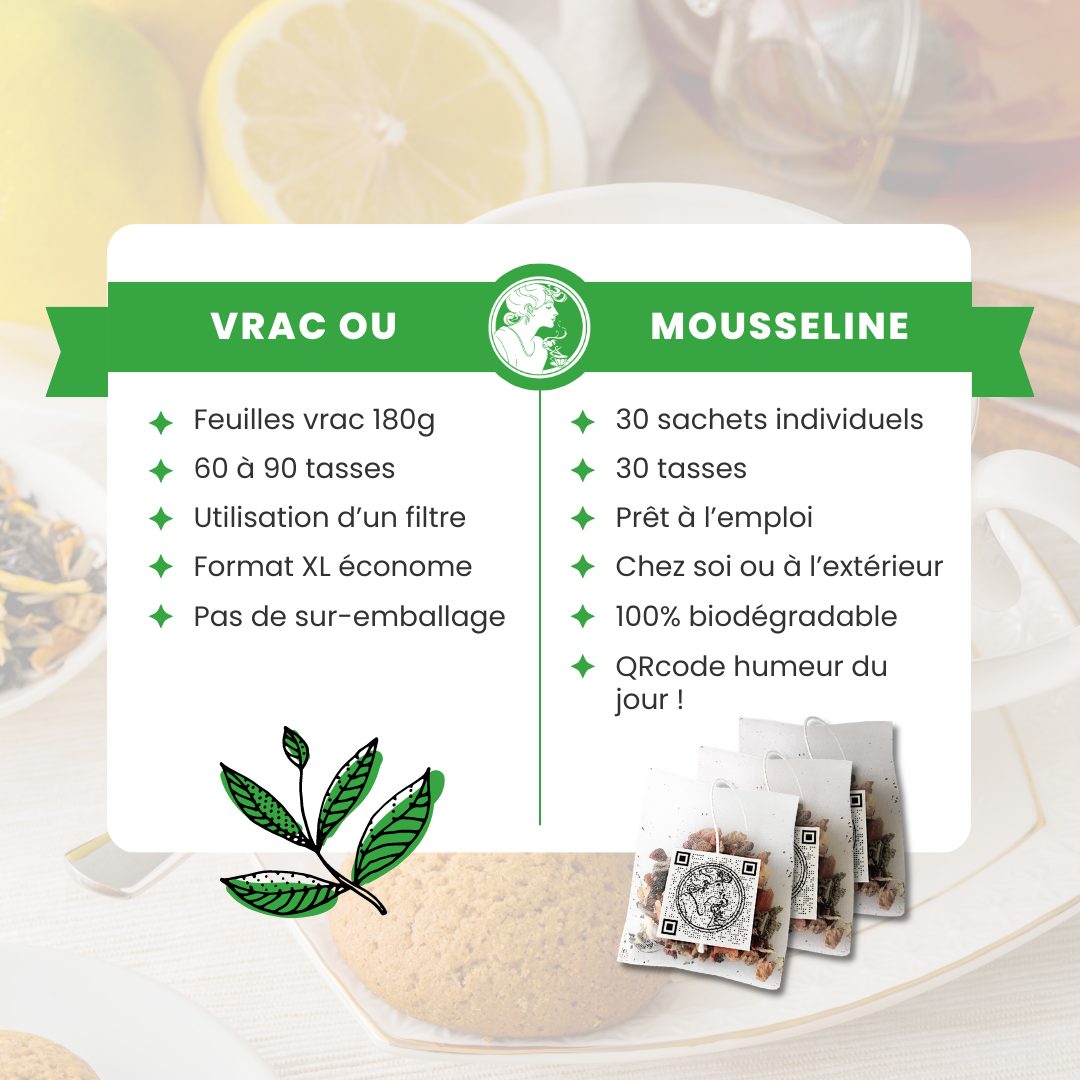Thé vert ✿ Ginger tonic BIO