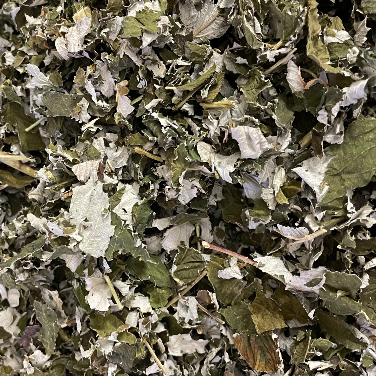 Herbo. ✿ Feuilles de framboisier BIO