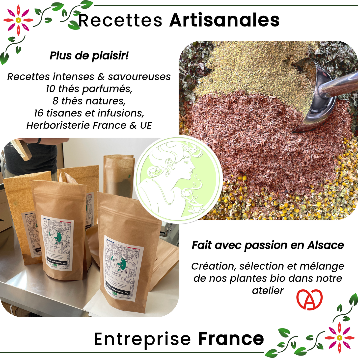 Thé vert ✿ Sencha BIO