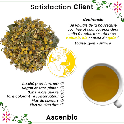 Infusion ✿ Nuit Célestea BIO