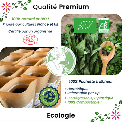 Maté ✿ Coup de pouce BIO