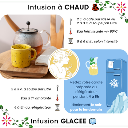 Infusion ✿ Digestou BIO