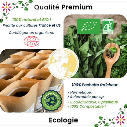 Epice ✿ Gingembre BIO