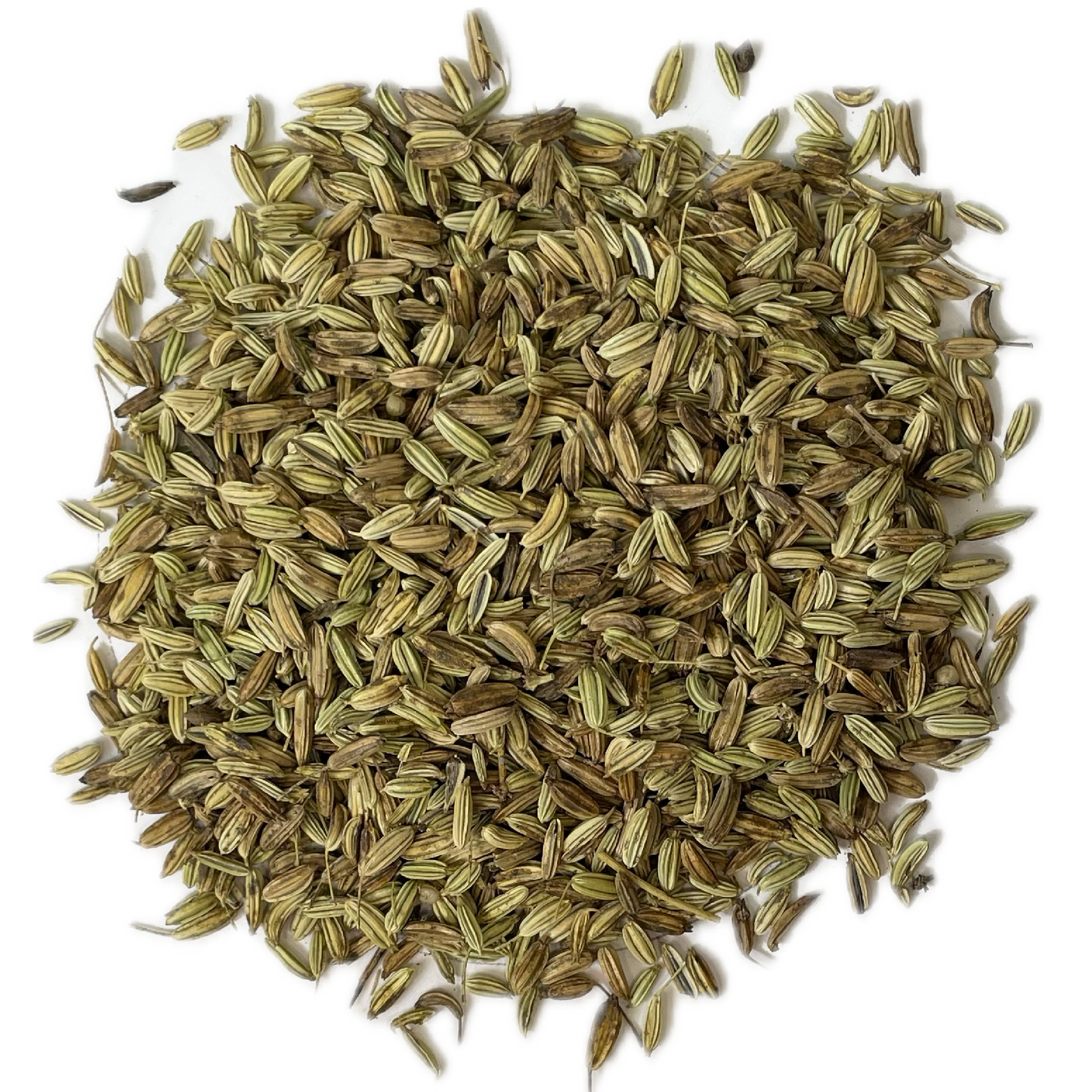 Herbo. ✿ Graines de fenouil BIO